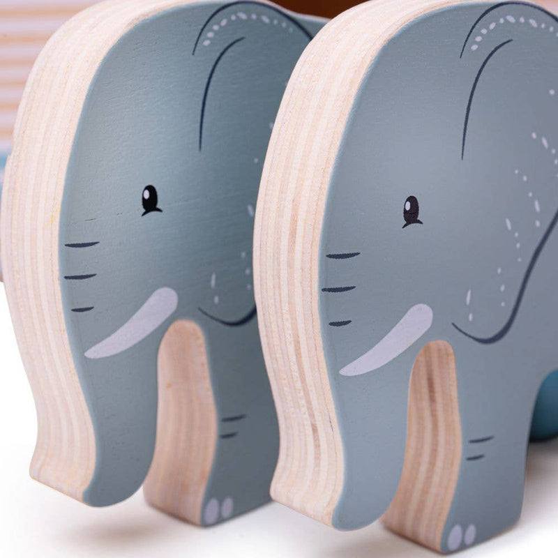 Noah's Ark - FSC 100%